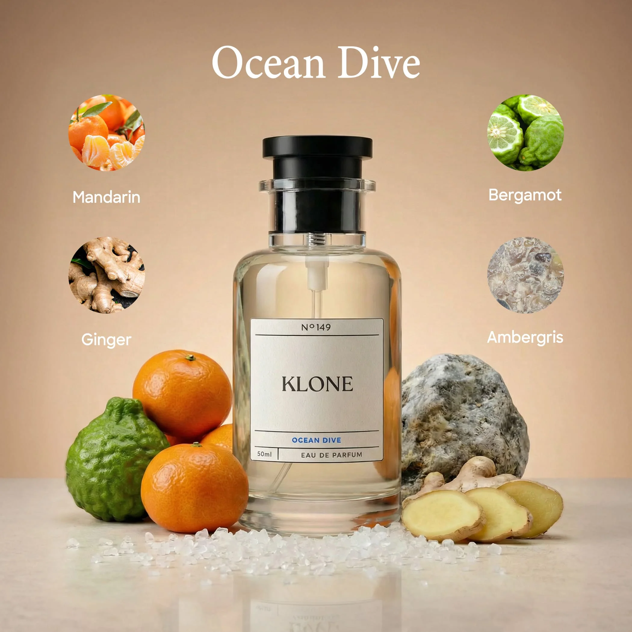 Ocean Dive - Image 3
